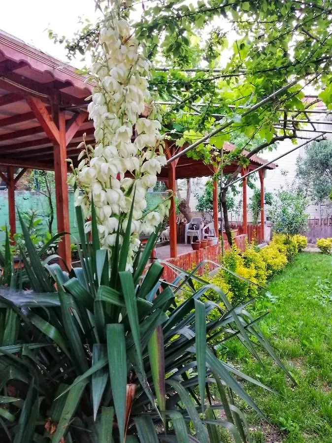 اسطنبول Kilic Motel